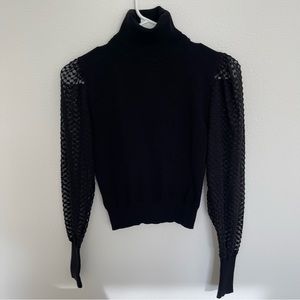 Zara Dotted Sheer Sleeve Turtleneck